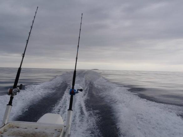 Off fishing! NZ 2011