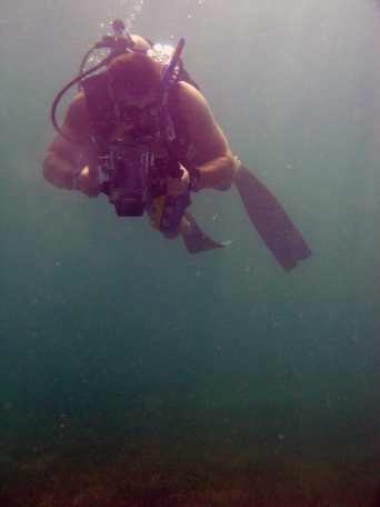 Winston Cowie - Marine Scientist - Diving in Qatar