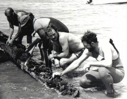 Mystery ay Midge Bay. Solaris Films New Zealand Ltd.