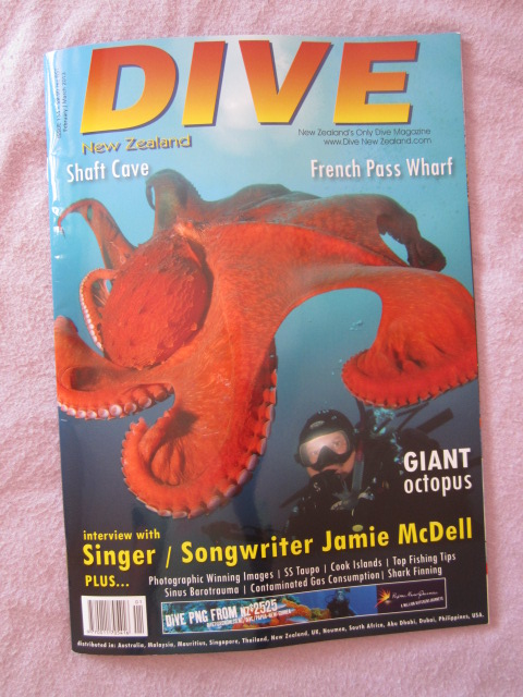 Dive NZ magazine - Spearfishing Qatar, by Winston Cowie