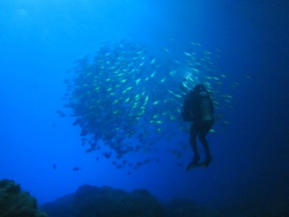 Ricorico Cave Poor Knights