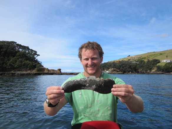 Winston Cowie Maori artefact - a fishing tool?