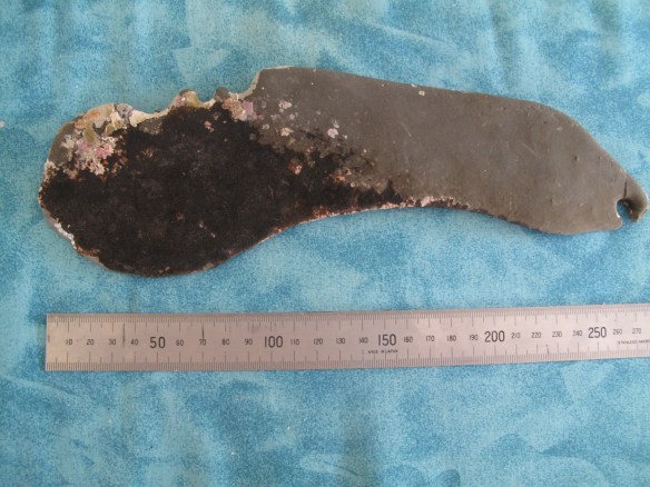 Maori artefact discovered at Tawharanui - a fishing tool?
