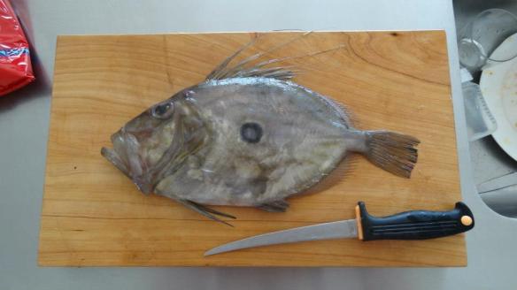 John Dory!